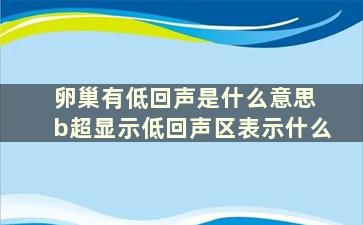 卵巢有低回声是什么意思 b超显示低回声区表示什么